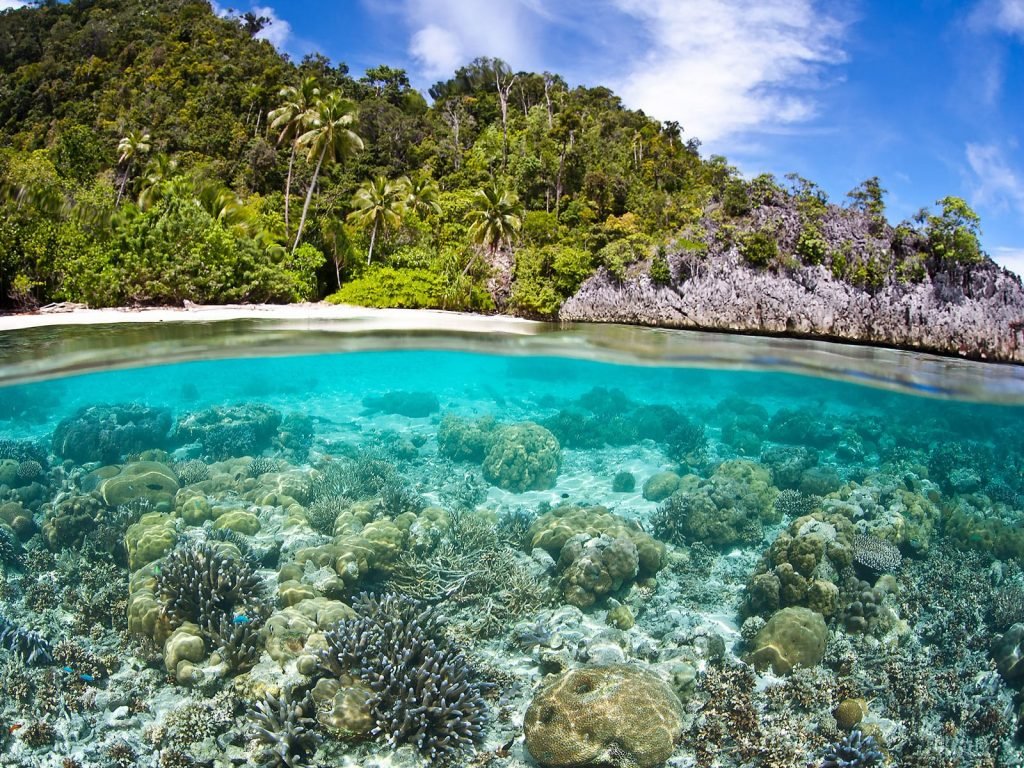 Raja Ampat | Rama Tours