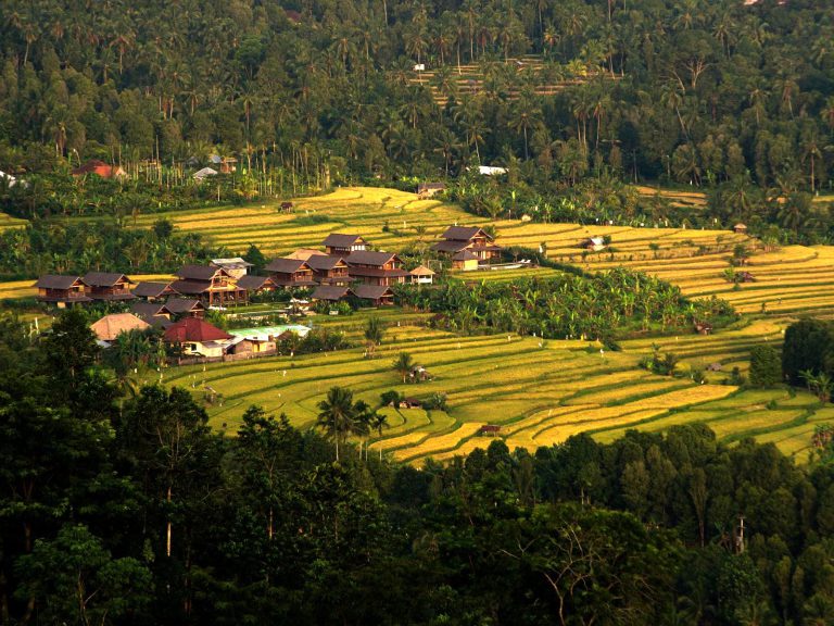 Hotels | Rama Tours